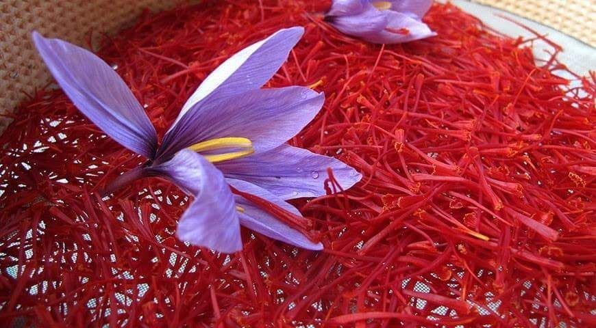 Công Dụng Của Nhụy Hoa Nghệ Tây Saffron