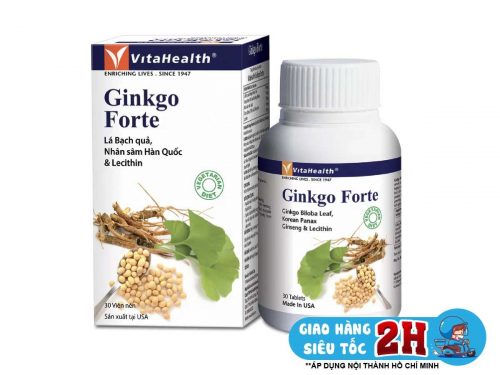 Vh Ginkgo Forte