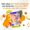  Multi Vitamin Dhc